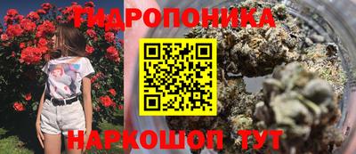 каннабис Гатчина