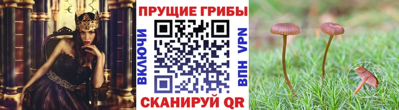 Галлюциногенные грибы мухоморы Людиново