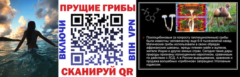 Псилоцибиновые грибы мухоморы  гидра зеркало  Людиново 
