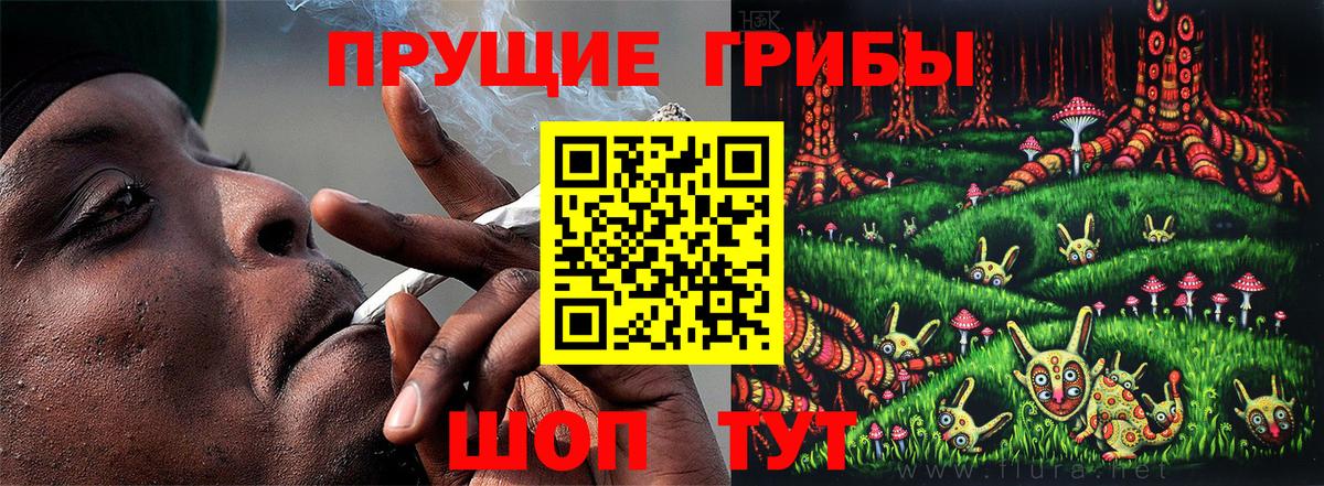 Псилоцибиновые грибы Psilocybe Людиново