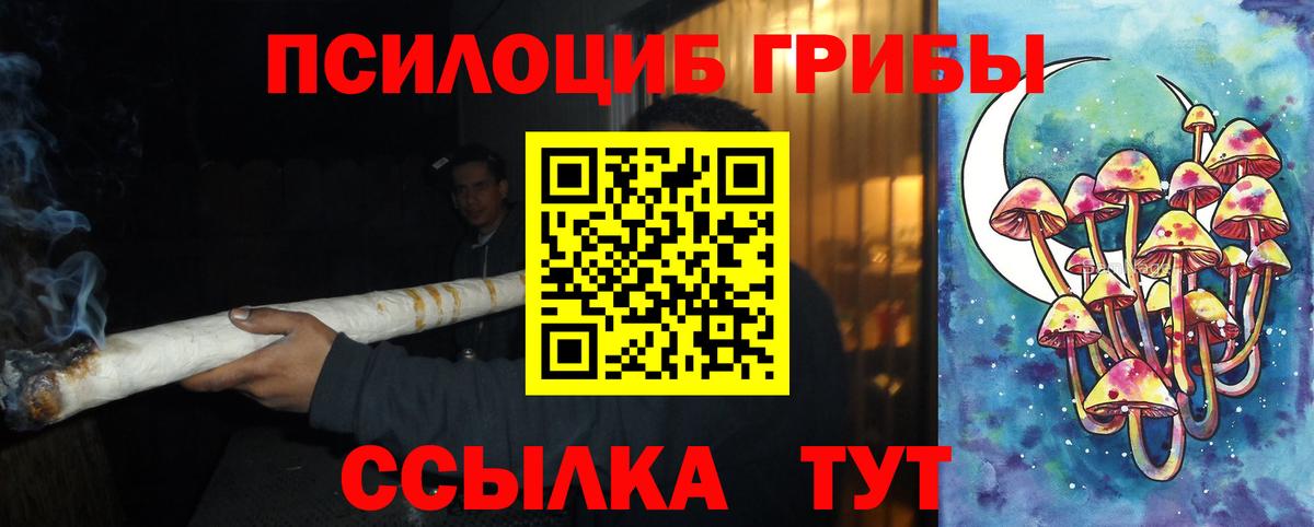 Людиново  Галлюциногенные грибы мицелий  Вход с VPN 